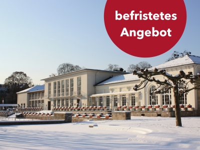 Weihnachts-Arrangement
